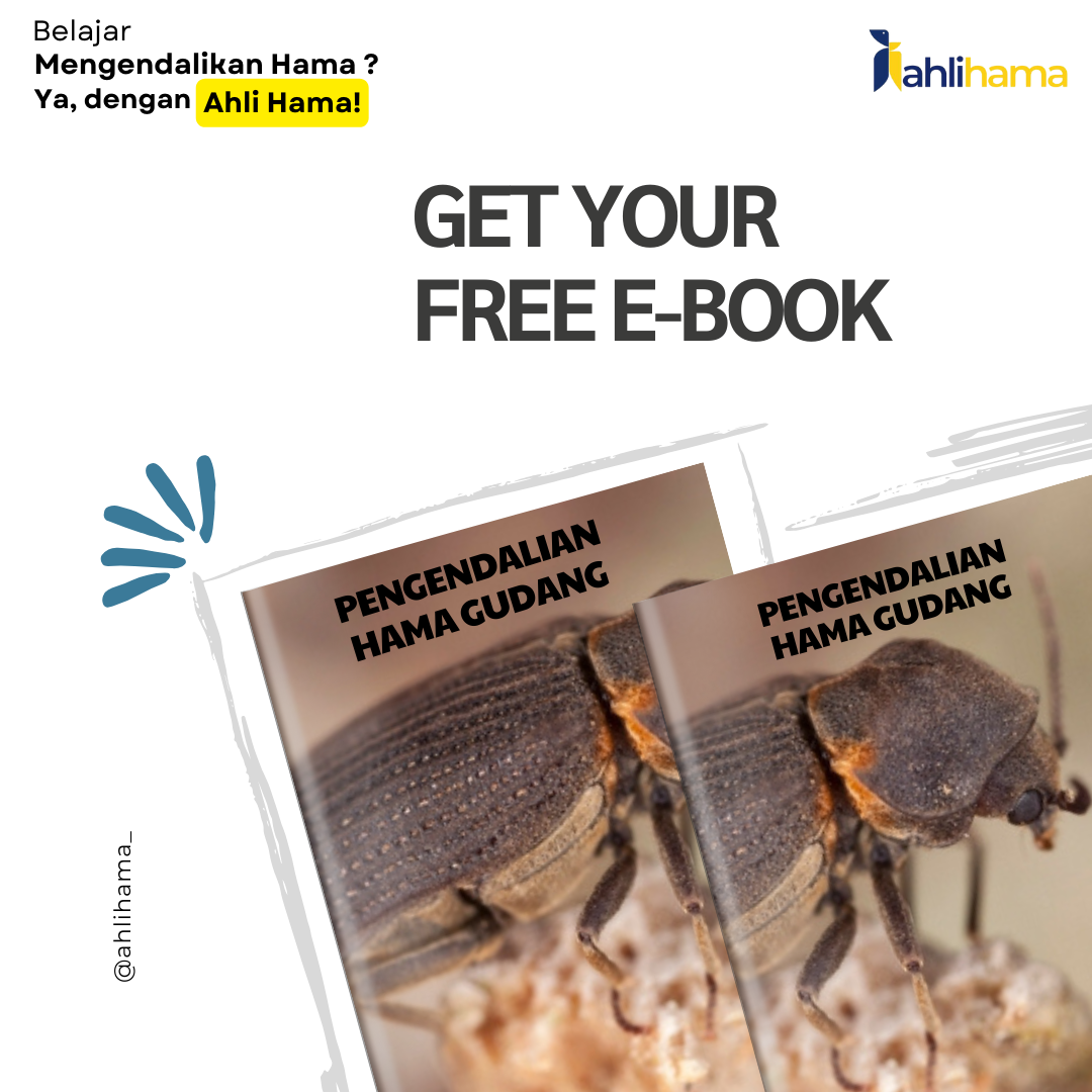 Pengendalian Hama Gudang