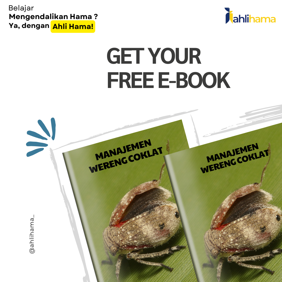 Manajemen Wereng Coklat