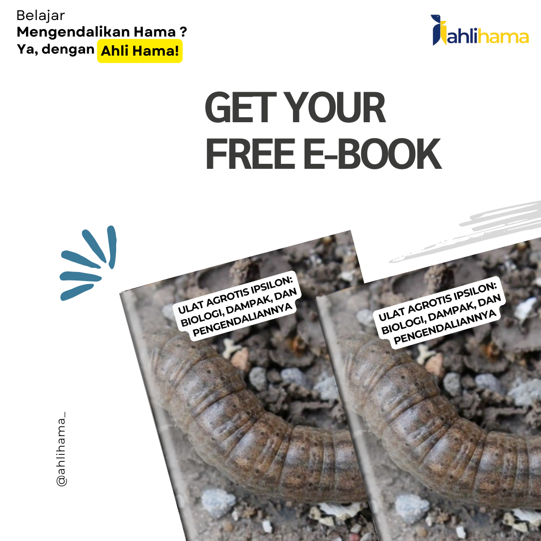 Ulat Agrotis ipsilon: Biologi, Dampak, dan Pengendaliannya
