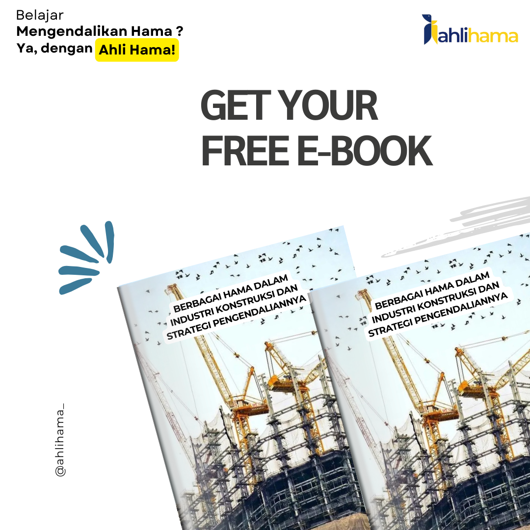 Berbagai Hama dalam Industri Konstruksi dan Strategi Pengendaliannya
