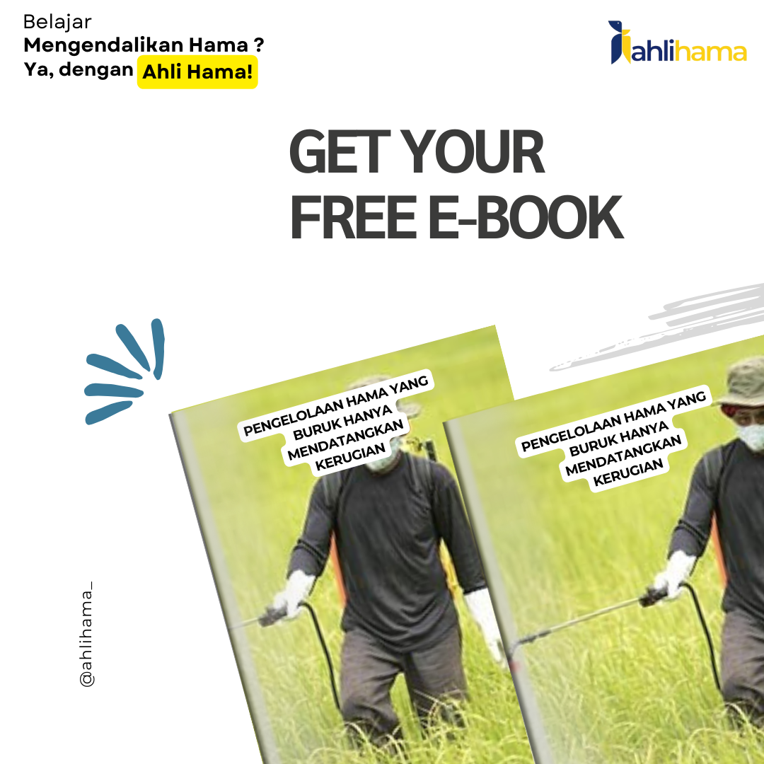 Pengelolaan Hama yang Buruk Hanya Mendatangkan Kerugian