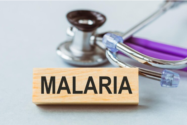 Pemetaan Risiko Malaria : Teknologi Geospasial dan Pemantauan Nyamuk Anopheles