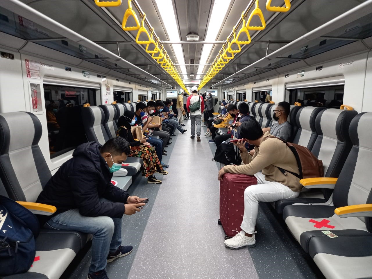 Strategi-strategi Pengendalian Hama di Transportasi Publik