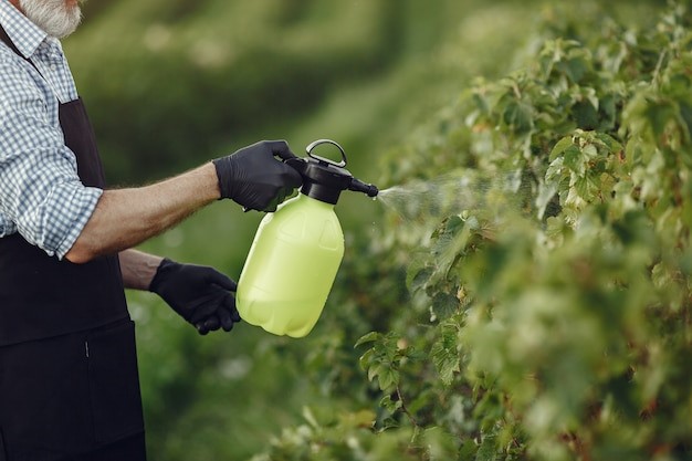 Endocrine Disrupting Pesticides